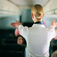 Requisitos para ser Tripulante de Cabina de Pasajeros (TCP): funciones y cuánto ganan