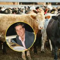 Seis carros, apartamentos en Miami y Anapoima: esto valen lujosos bienes de Felipe Rocha.