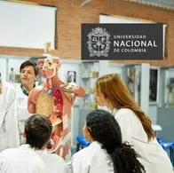 ¿Quiere estudiar Medicina en la Universidad Nacional? Siga este paso a paso