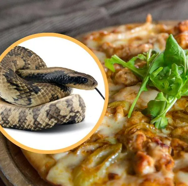 La empresa estadounidense Pizza Hut ha sorprendido al mundo de la gastronomía al crear una pizza de serpiente en Hong Kong.