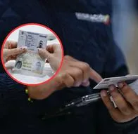 El Permiso Especial de Permanencia para migrantes venezolanos en Colombia podría ser de gran ayuda para recibir los beneficios del Estado.