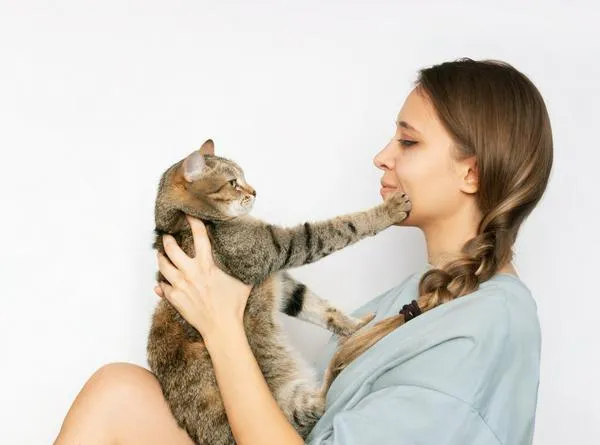 ¿Por qué los gatos ponen su pata en la cara de sus dueños? Razones por las que las mascotas tienen esta curiosa conducta.