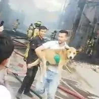 ¡Mejores amigos por siempre! Hombre salvó a perro en medio de un incendio