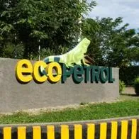 Ecopetrol va a girar en 2024 unos $ 11.33 billones de pesos, meno en comparación a los $ 24.33 billones del 2023.