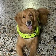 Policía del Tolima rindió homenaje a ‘Evelyn’