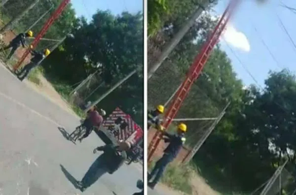 Sufrió descarga eléctrica cuando estaba haciendo poda de árboles, falleció en el sitio: en Cali