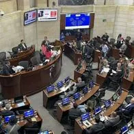 Denuncian ‘orangután’ para elegir a dedo directores de hospitales con reforma a la salud