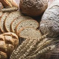 ¿Es bueno sustituir el pan blanco por pan integral para adelgazar? Le explicamos
