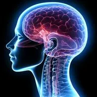 Hablar consigo mismo o tener constantes ideas mentales puede ayudar a las prácticas sociales y evitar problemas de salud mental, según expertos.