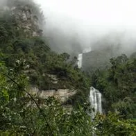 ¿Dónde queda la cascada más alta de Colombia? Así podría llegar desde Bogotá.