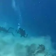 Así se vio un terremoto en el fondo del mar: buzos fueron sorprendidos 