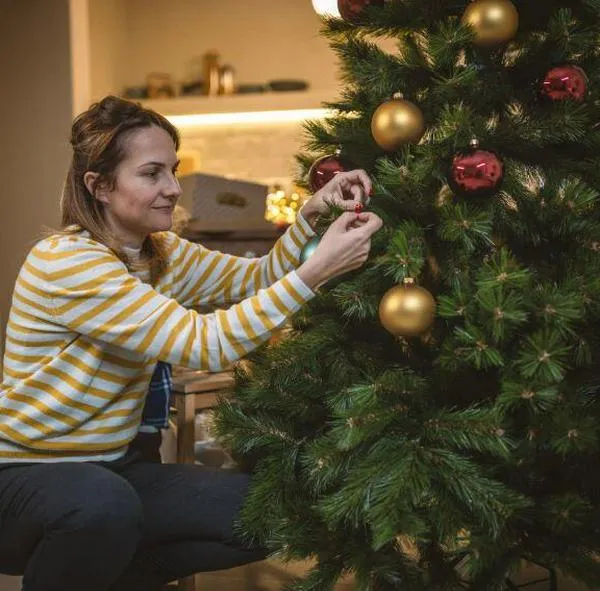 Dicen en dónde poner el árbol de Navidad en la casa para atraer dinero en 2024 y más agüeros para el próximo diciembre. Acá, los detalles.