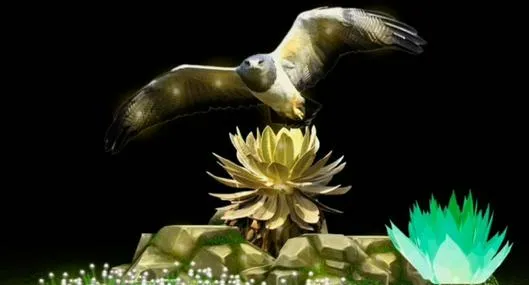 image_desktop