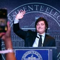 ¿Quién es Javier Milei? Lo que debe saber sobre el nuevo presidente de Argentina