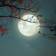 Luna llena noviembre 2023: Fecha exacta y mejores lugares para verla en Bogotá