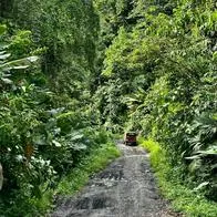 Investigador de la Javeriana recorrió todos los pueblos de Colombia por carretera y dijo qué fue lo peor que encontró. Acá. los detalles.