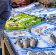 El salmón rojo o rosado es el pescado más saludable del mundo, según la ciencia. Sus múltiples preparaciones aportan diferentes nutrientes al cuerpo.