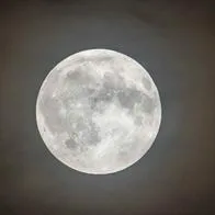 Prepárese para la Luna de Castor 2023: 5 rituales sencillos para manifestar