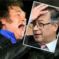 Javier Milei, que lanzó 'cachetazo' a Gustavo Petro, presidente de Colombia