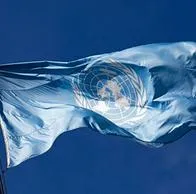 Aplique a la convocatoria para trabajar en la ONU: estos son los perfiles que buscan