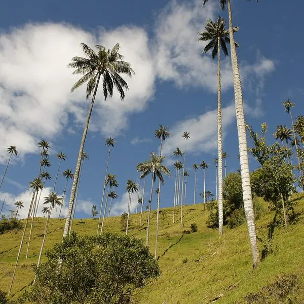 Cuáles son los 5 destinos más fotografiadles de Colombia y dónde quedan