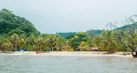 image_desktop