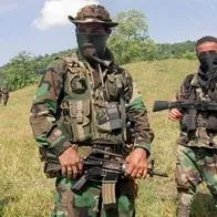 Cayeron dos cabecillas del Clan del Golfo en operación de la Policía en el Valle del Cauca