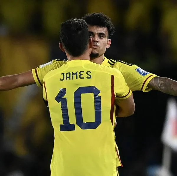 Selección Colombia cerrará el año entre las mejores 15 del mundo. 
