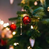 Colocar el árbol de Navidad en el ala sur del hogar es la manera idónea para atraer salud, prosperidad y bendiciones en el nuevo año, según el Feng Shui.