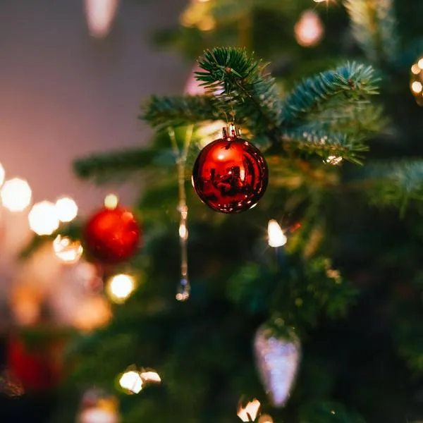 Colocar el árbol de Navidad en el ala sur del hogar es la manera idónea para atraer salud, prosperidad y bendiciones en el nuevo año, según el Feng Shui.