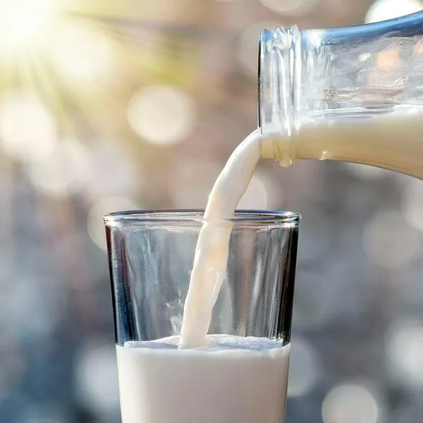 ¿Qué es más saludable, la leche entera o deslactosada? Beneficios y diferencias