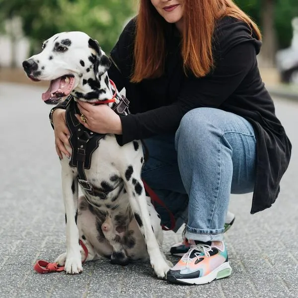 Mujer junto a un perro adolescente.