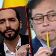 Sueldo de Petro y Bukele siendo presidentes de Colombia y El Salvador