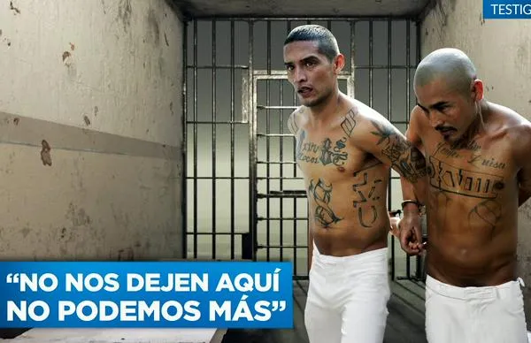 Mega cárcel de El Salvador: así es vivir allí y cumplir con las estrictas reglas