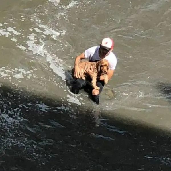 Hombre se lanzó al río Medellín para recatar a perro que se estaba ahogando