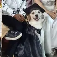 Historia de Mona, mascota viral en redes sociales por graduarse con estudiantes de colegio de Armenia