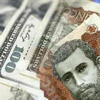 Casas de cambio dan dólares desde los $ 4.000: cuál es la tasa