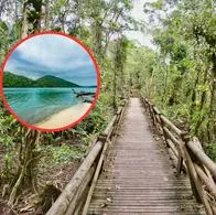 ¿Qué más se puede hacer en Nuquí aparte de ver ballenas? 3 planes imperdibles.