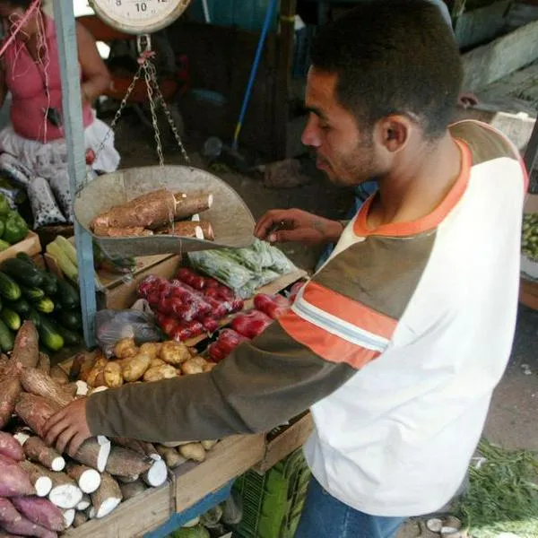 Buen dato antes de ir a mercar: estos son los alimentos que más bajaron de precio en noviembre