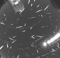 Lluvia de meteoros Gemínidas: ¿cómo y cuándo verla?