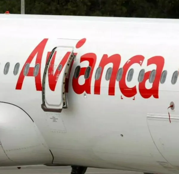 Cuánto cuesta viajar con mascotas en avión: Avianca, Latam. Wingo y Clic