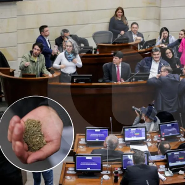 El Senado de la República hundió el proyecto de ley que pretendía regulizar el consumo y distribuición de marihuana en Colombia, este 12 de diciembre.