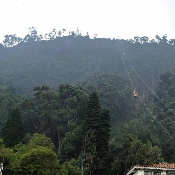 En el cerro de Guadalupe, cerca de Monserrate, en Bogotá, encontraron sin vida a una mujer en un árbol