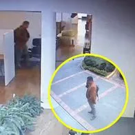 Ladrón se coló en tienda de mascotas en Bogotá y se robó un computador.