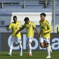 La Selección Colombia recibirá importante refuerzo para conseguir objetivo en 2024