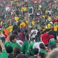 [Video] Colombianos se agarraron en estadio (otra vez) antes del partido de Selección