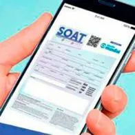 Conozca cómo identificar un sitio web falso de compra del Soat en Colombia. Si el documento no es légitimo podrían llevarlo preso.