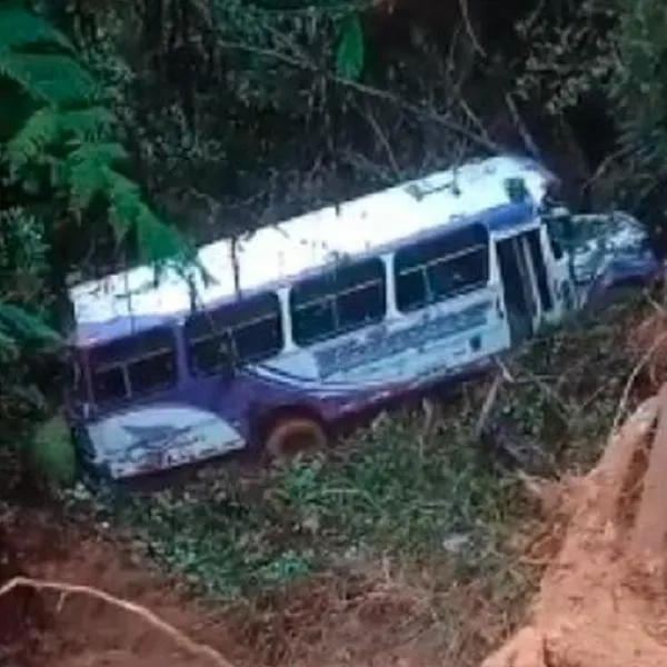 Bus de Velotax se fue por abismo en Tolima y dos personas quedaron heridas