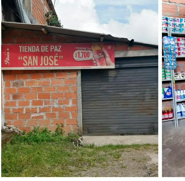 Ladrones dejaron sin nada a campesinos que tienen emprendimiento de ají en Cocorná, Antioquia.