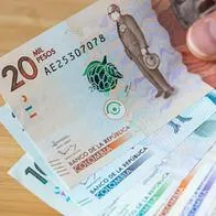Subsidios en Colombia: cuánto dan y cuál es el de $ 174 millones